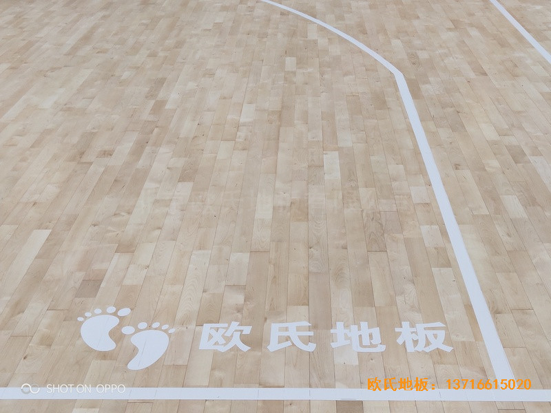 西寧世紀職業(yè)技術(shù)學?；@球館體育地板施工案例4