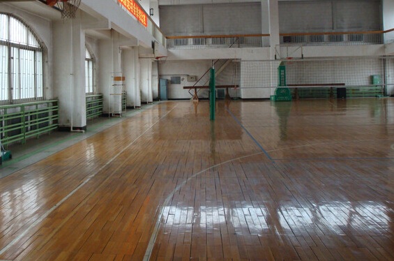 體育木地板