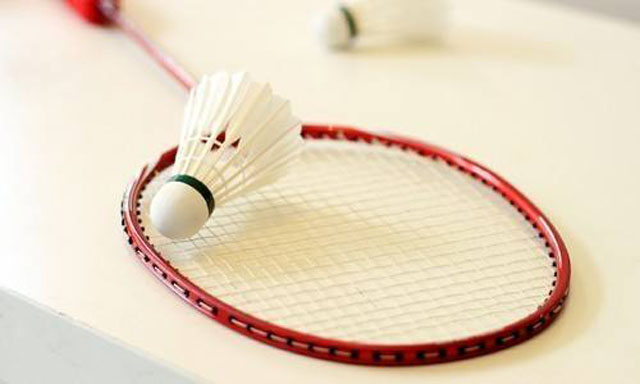 羽毛球館專(zhuān)用木地板