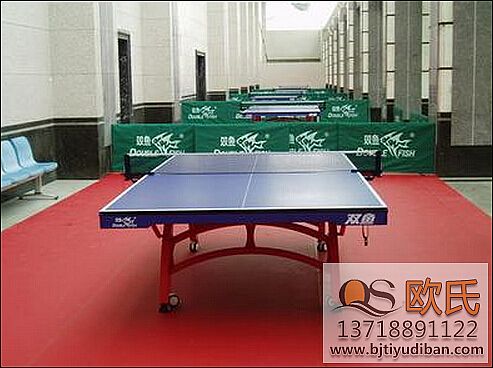 乒乓球地板