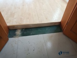 那里有籃球場館木地板較好的品牌