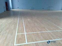 體育館地板需要多少錢