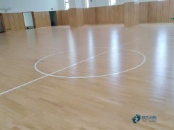 運(yùn)動(dòng)場館地板要多少錢