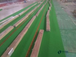 那里有運動體育地板品牌大全