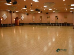 懸浮運(yùn)動場木地板施工團(tuán)隊