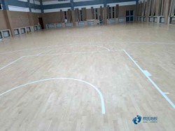 優(yōu)惠的運(yùn)動(dòng)場(chǎng)館木地板行業(yè)品牌