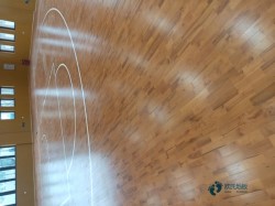 哪里有運(yùn)動地板品牌排行