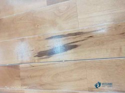 雙龍骨運(yùn)動(dòng)館木地板安裝公司