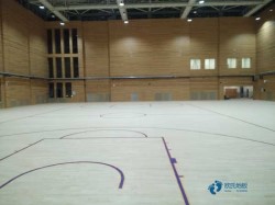 普通體育地板安裝公司