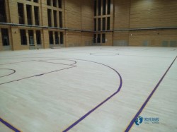 質(zhì)量好體育場(chǎng)館地板安裝公司