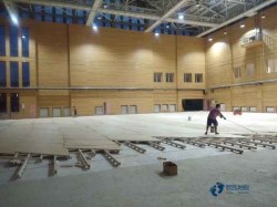 專業(yè)體育館木地板施工方案