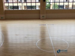 專業(yè)籃球館木地板安裝公司
