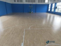 懸浮體育場館地板施工隊