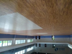 那里有體育場地木地板品牌有哪些