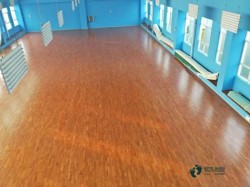 不錯(cuò)運(yùn)動(dòng)體育地板安裝公司