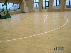 那里有籃球場(chǎng)地木地板行業(yè)品牌