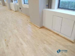 雙龍骨籃球場(chǎng)館木地板廠家報(bào)價(jià)