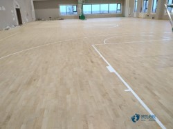 優(yōu)惠的運(yùn)動(dòng)型木地板安裝公司