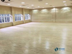 專業(yè)籃球館木地板施工方案