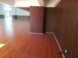 學(xué)校體育場(chǎng)館木地板安裝公司