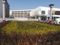 專(zhuān)業(yè)運(yùn)動(dòng)型地板施工步驟