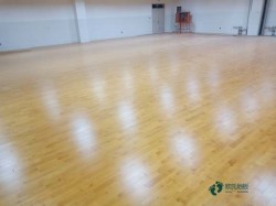 普通籃球木地板安裝公司