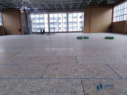 體育運(yùn)動(dòng)木地板價(jià)錢