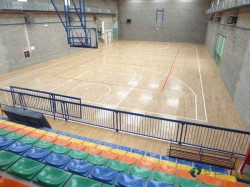 那里有運(yùn)動(dòng)場(chǎng)地木地板品牌排行