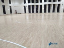 體育場地地板大概多少錢