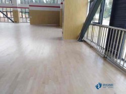 體育籃球地板價錢