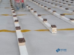 俄勒岡松舞臺(tái)運(yùn)動(dòng)場(chǎng)木地板哪個(gè)牌子環(huán)保