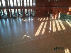 常用松木舞臺(tái)運(yùn)動(dòng)館木地板哪個(gè)牌子較好