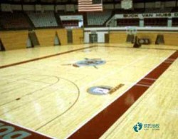 那里有體育場地板品牌排行