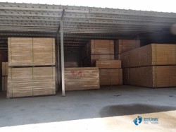 專業(yè)運(yùn)動場木地板施工單位