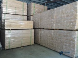 那里有運動籃球地板品牌排行榜