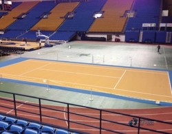 專用體育場木地板廠家報價