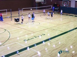 懸浮式籃球場館木地板廠家報價