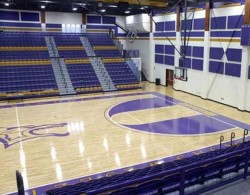 那里有體育館地板品牌有哪些