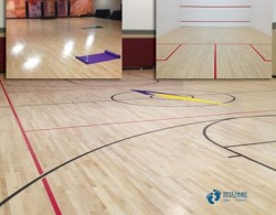 學?；@球木地板廠家報價