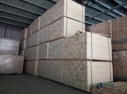 雙層龍骨體育場木地板維護保養(yǎng)