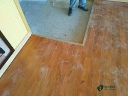 體育場(chǎng)木地板一般多少錢(qián)