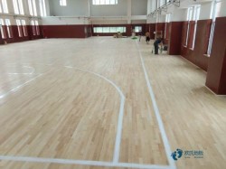 尋求運動型木地板十大品牌