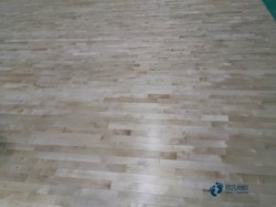 專業(yè)籃球館木地板施工隊