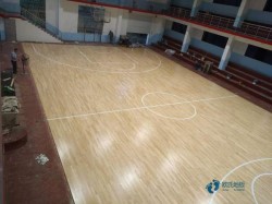 尋求運動型木地板哪個品牌好