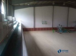 柞木體育運(yùn)動(dòng)木地板保養(yǎng)