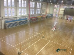 室內(nèi)籃球場地木地板廠家報價