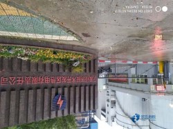 購買俄勒岡松舞臺體育場地地板哪種牌子好