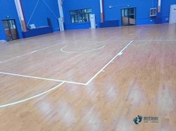 行業(yè)體育運動木地板保修期